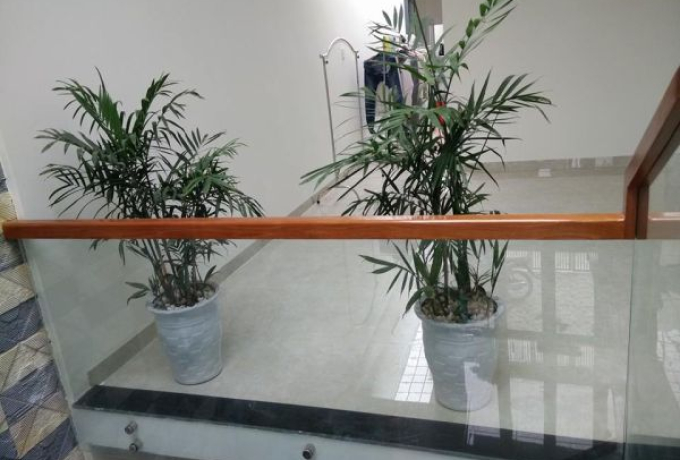 Báo Giá Lan Can Kính: Chi Phí Thi Công & Các Yếu Tố Cần Biết