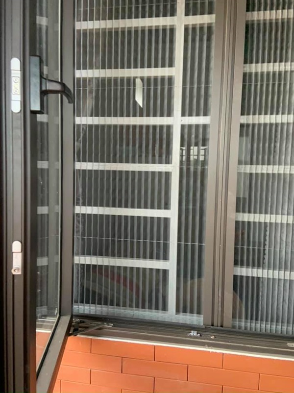 cửa lưới chống muỗi